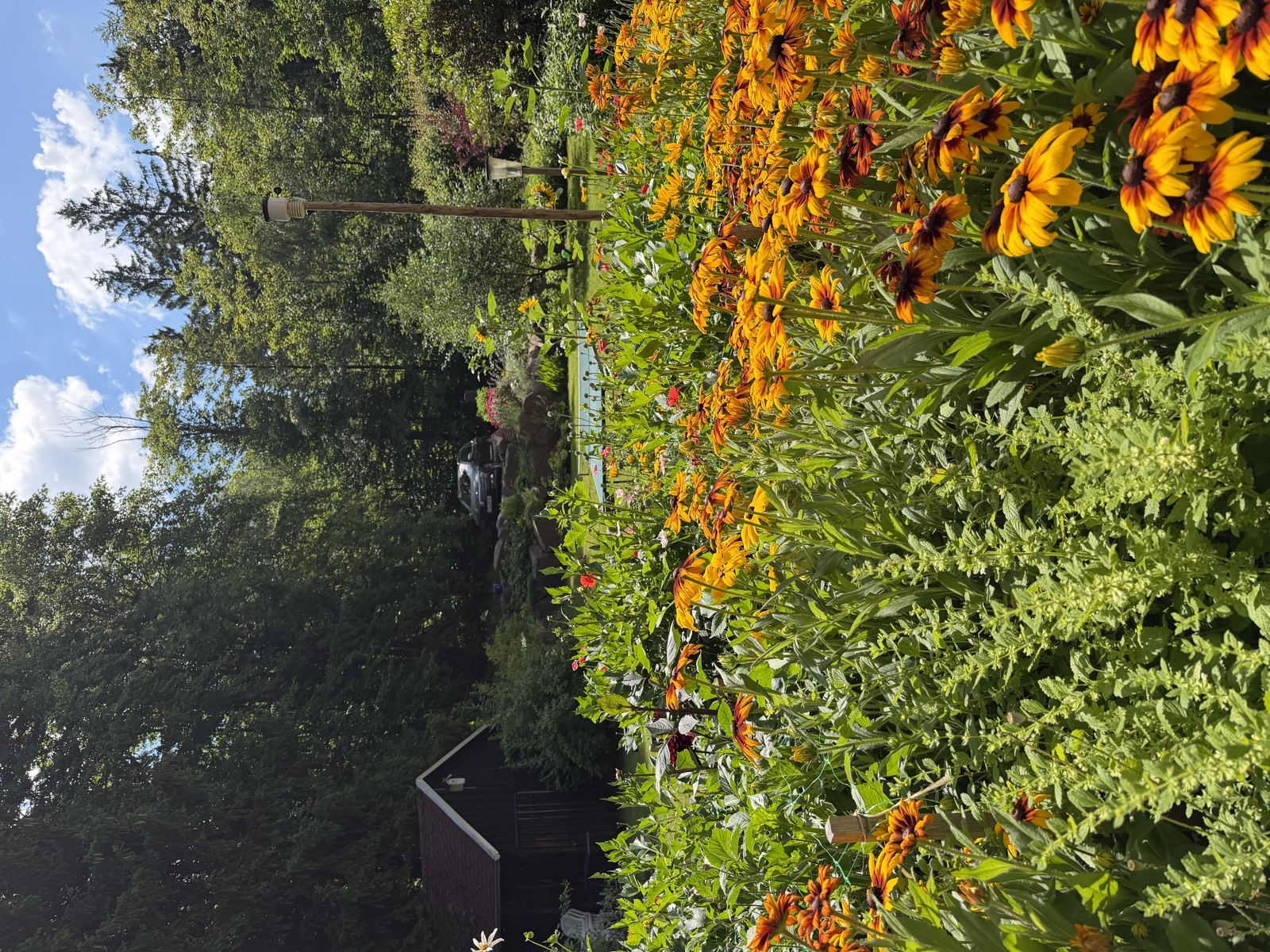 Blühender Garten mit Gartenhaus am Waldrand