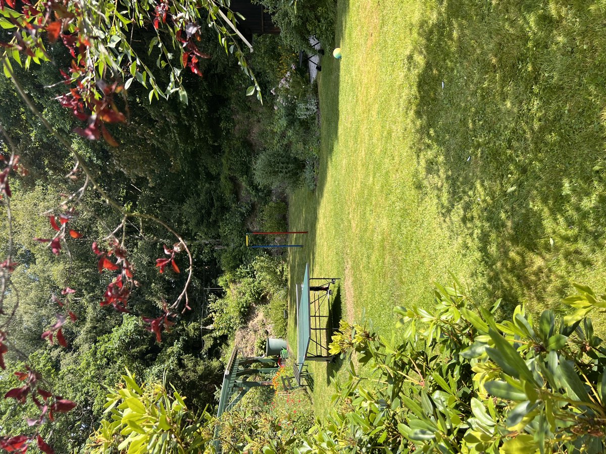 Garten mit Tischtennisplatte und Schaukel am Waldrand