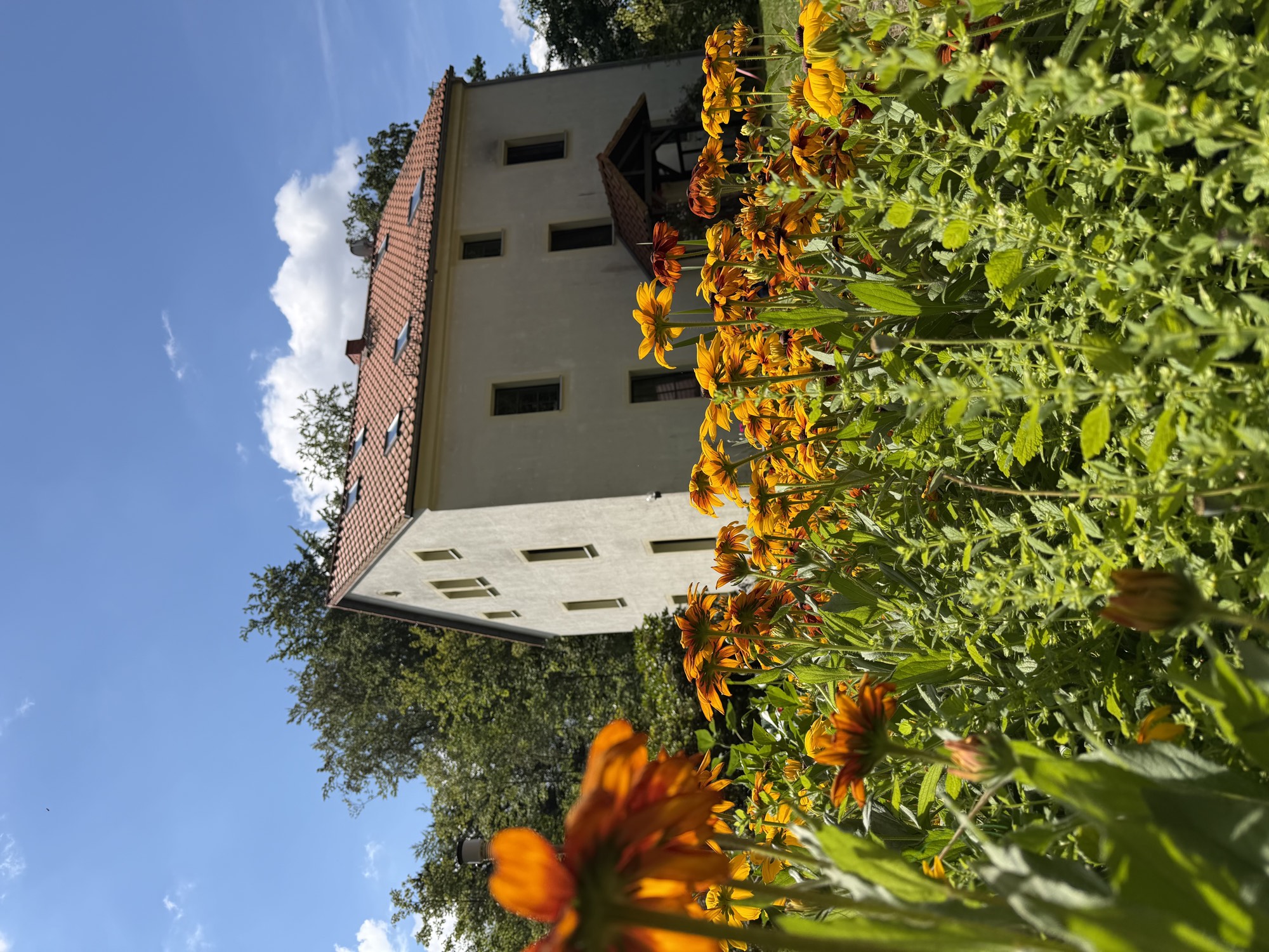 Das Waldhaus hinter dem blühenden Blumengarten